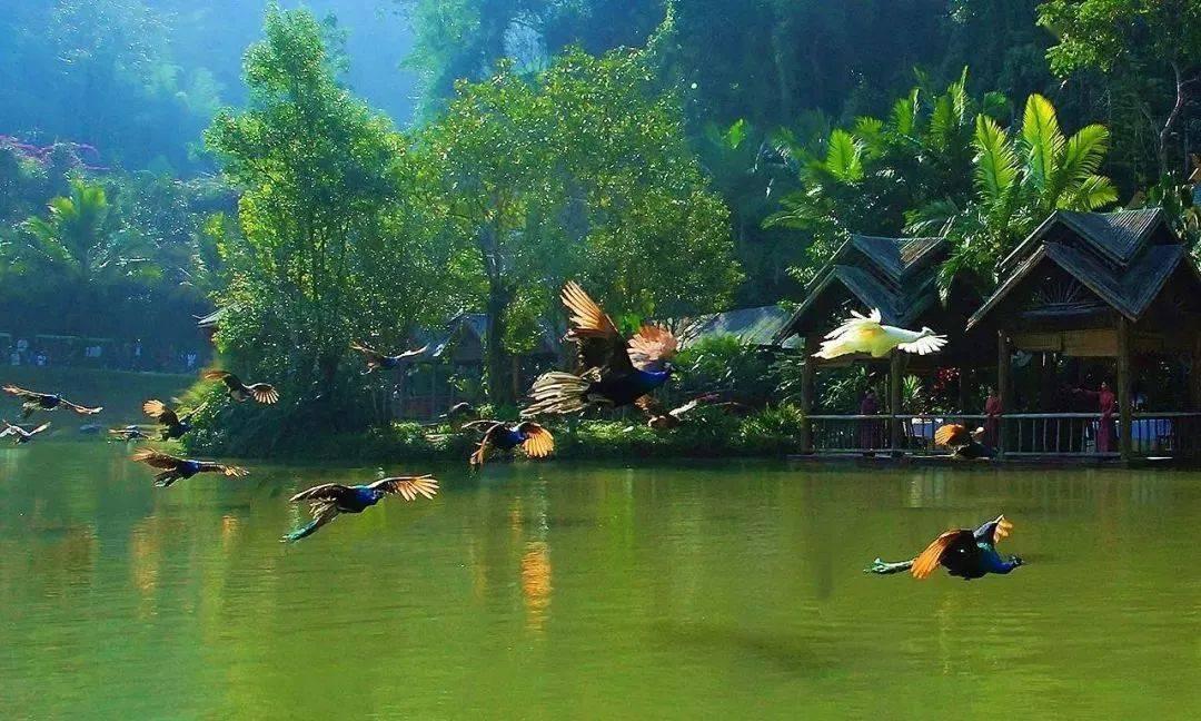 解码贵阳贵安·青云市集